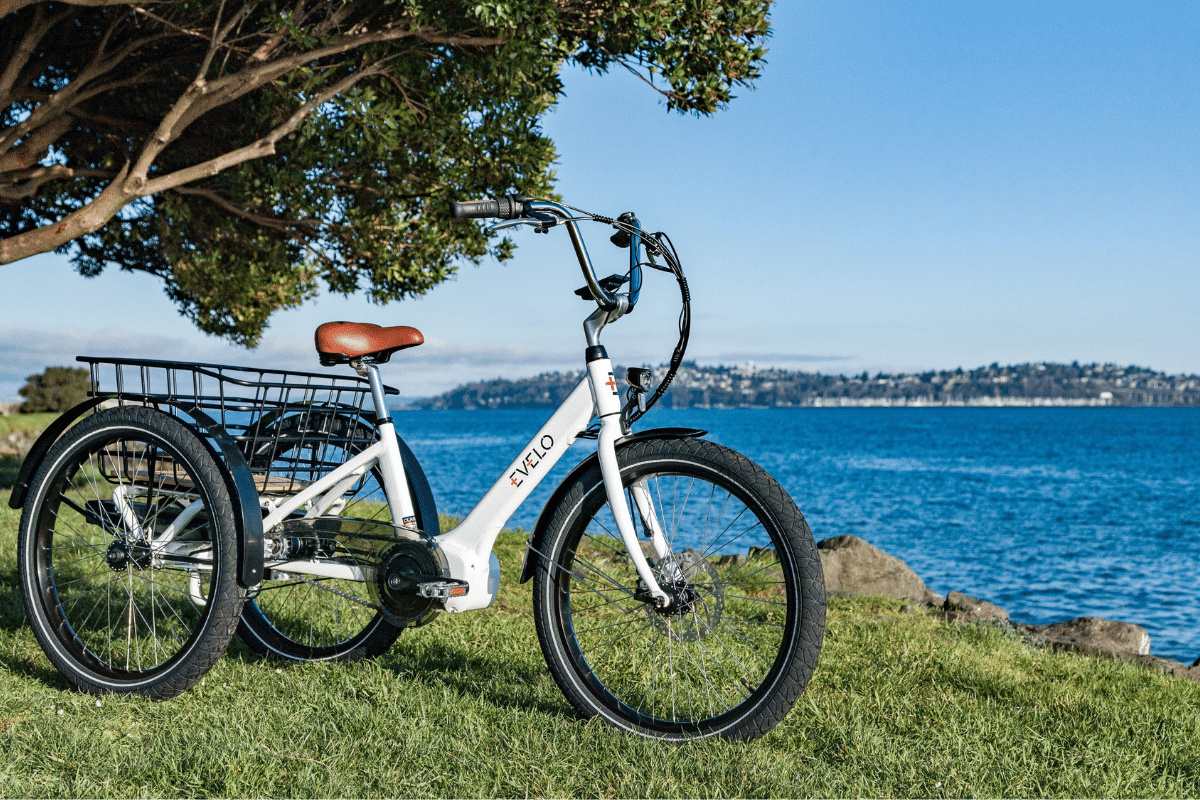 What Is The Best 3 Wheel Electric Bike For Adults The electric bike What Is The Best 3 Wheel Electric Bike For Adults The electric bike